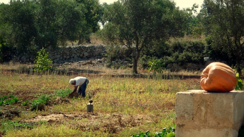 Masseria Uccio Триказе Екстериор снимка
