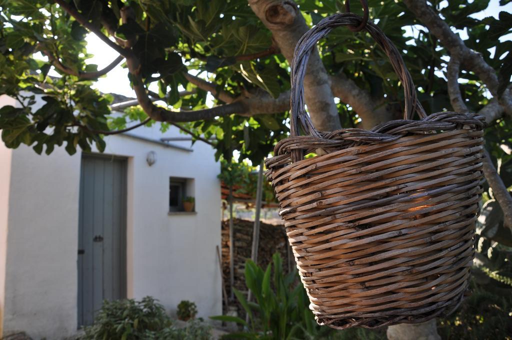 Masseria Uccio Триказе Екстериор снимка